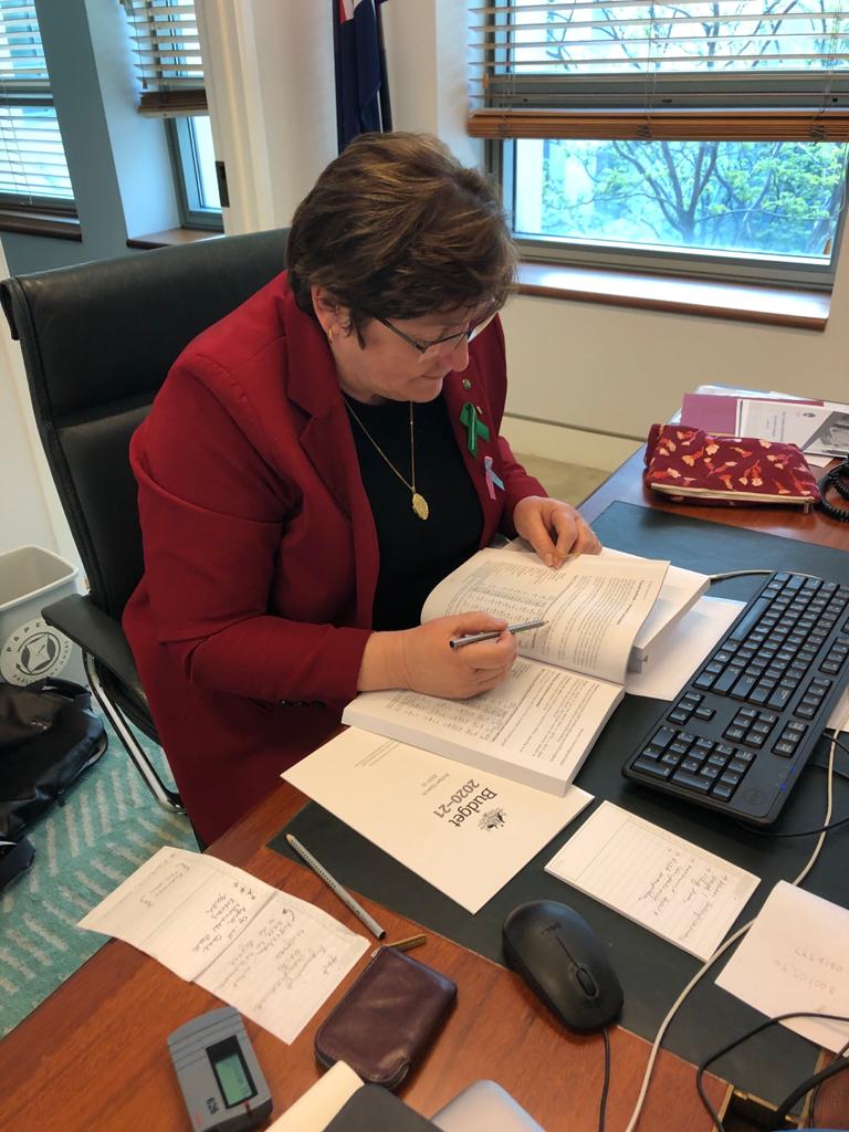 STATEMENT: A VISION FOR A STRONGER, FAIRER AUSTRALIA Main Image